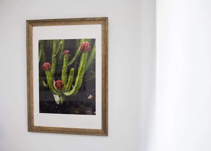 Begui アパート ラスパルマス・デ・グランカナリア